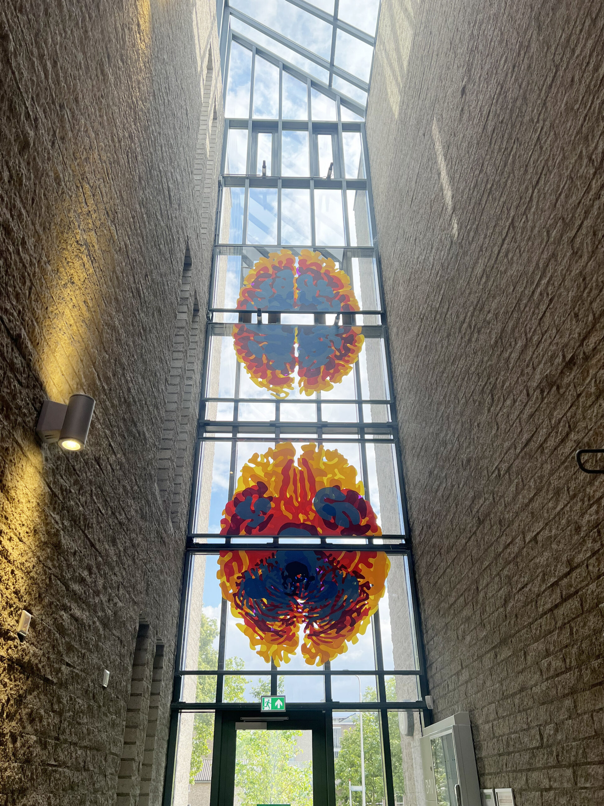 Photograph of tall window in corridor of lab building, with colorful translucent models of the brain hanging in windows