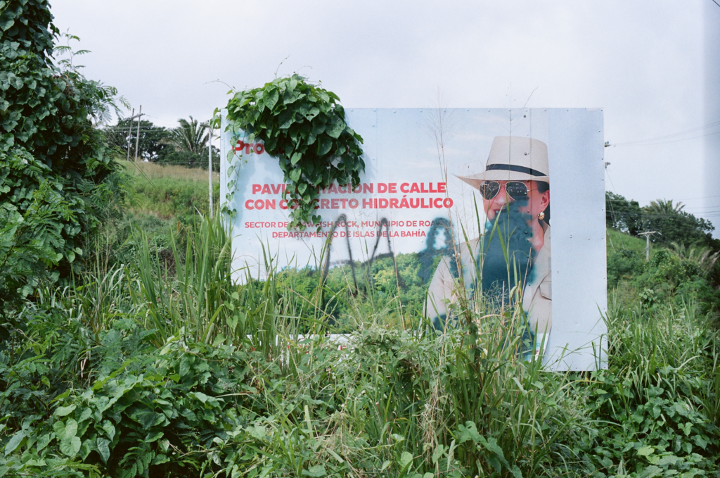 billboard on overgrown hillside, with vines overtaking the sign