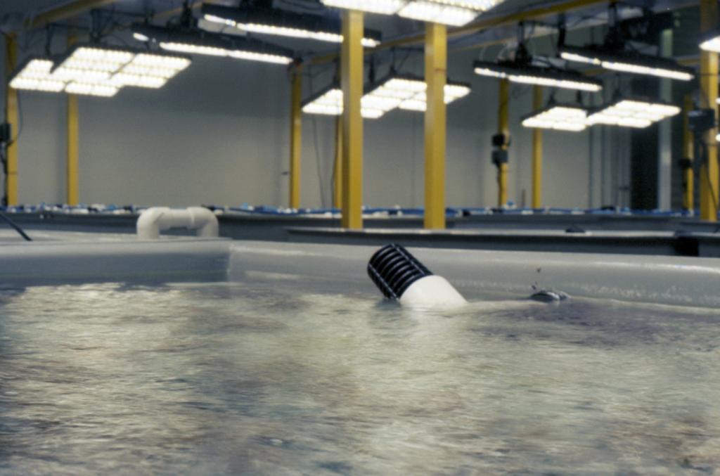 submerged pipes in an indoor facility