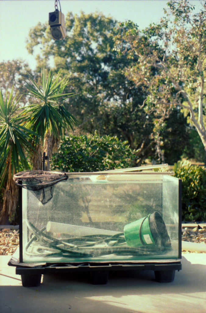 dry aquarium with tubing and buckets inside and nets on top in an outdoor setting
