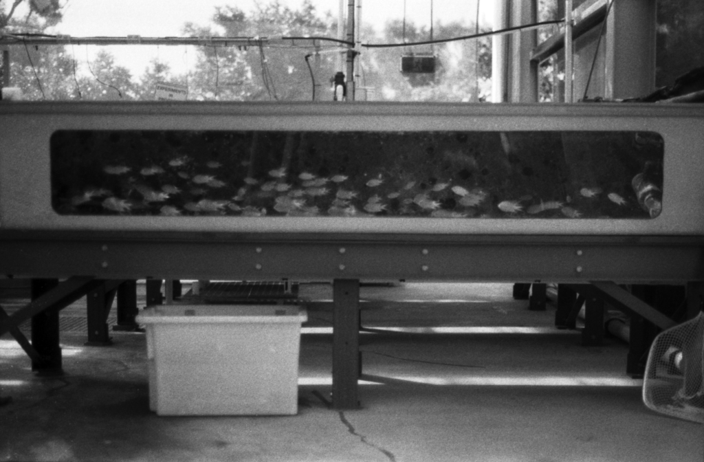 black and white photo of scientific apparatus