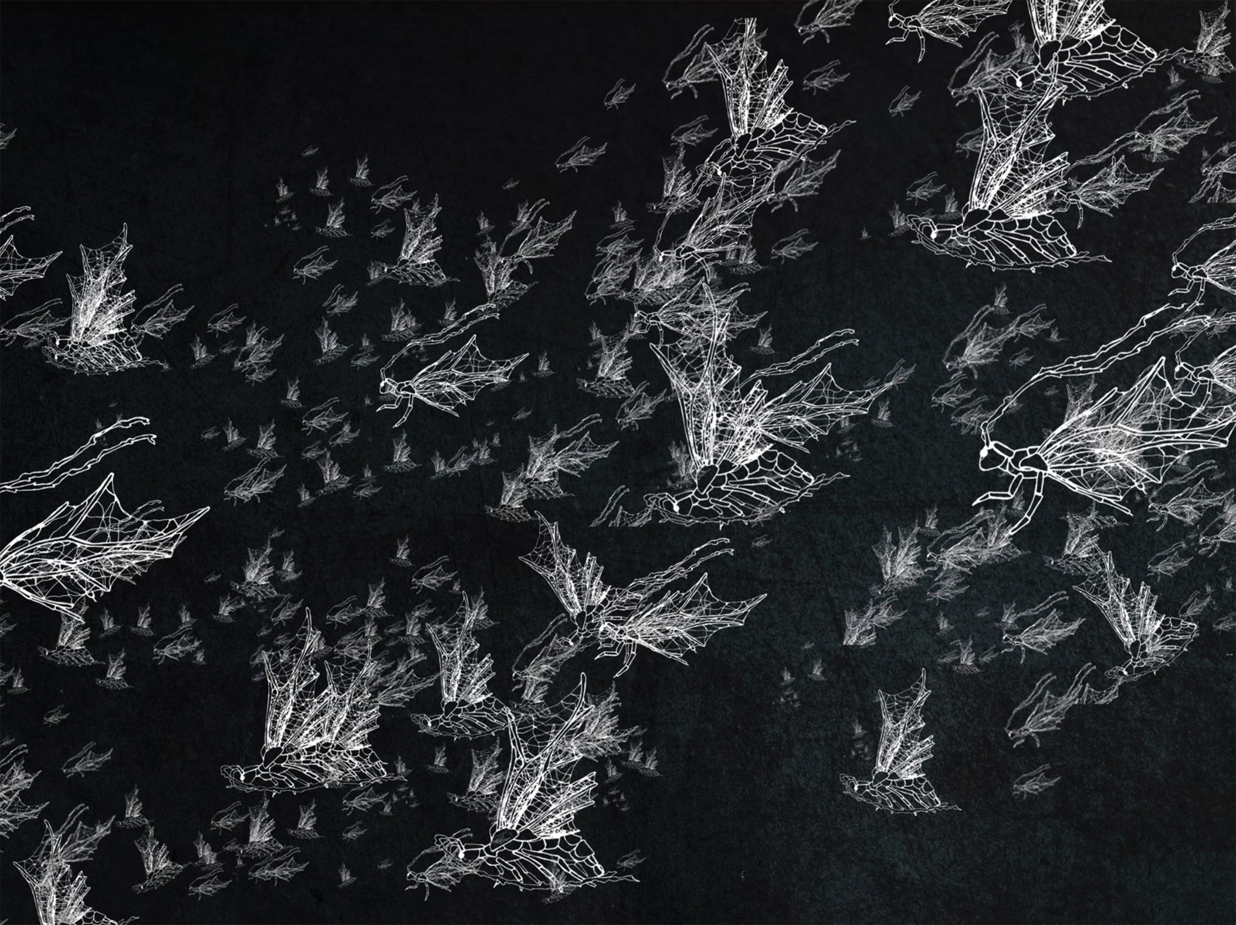 film still showing speculative fly-plastic hybrid species rendered in schematic: white lines on black field