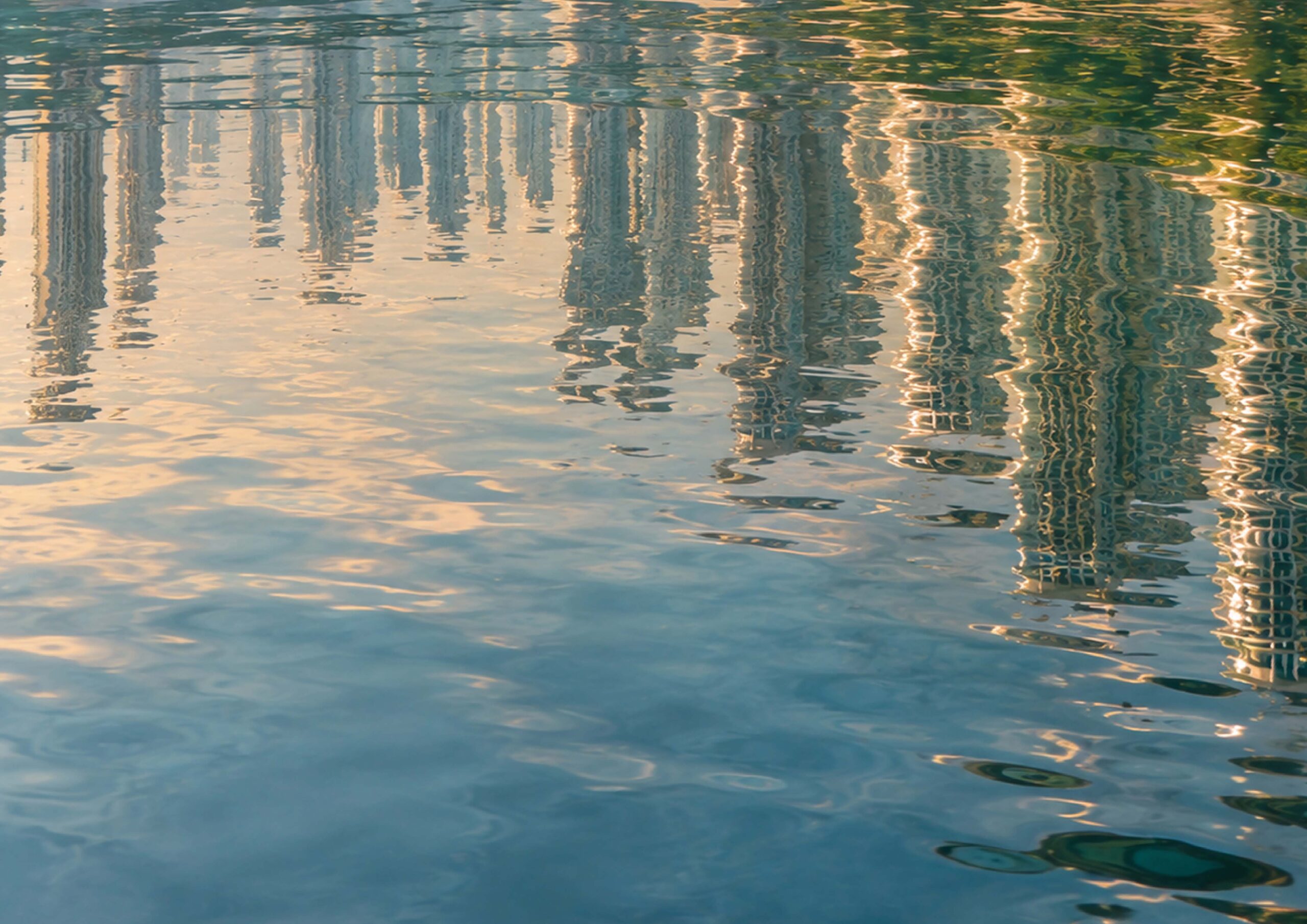 Image of Forest City reflected in water