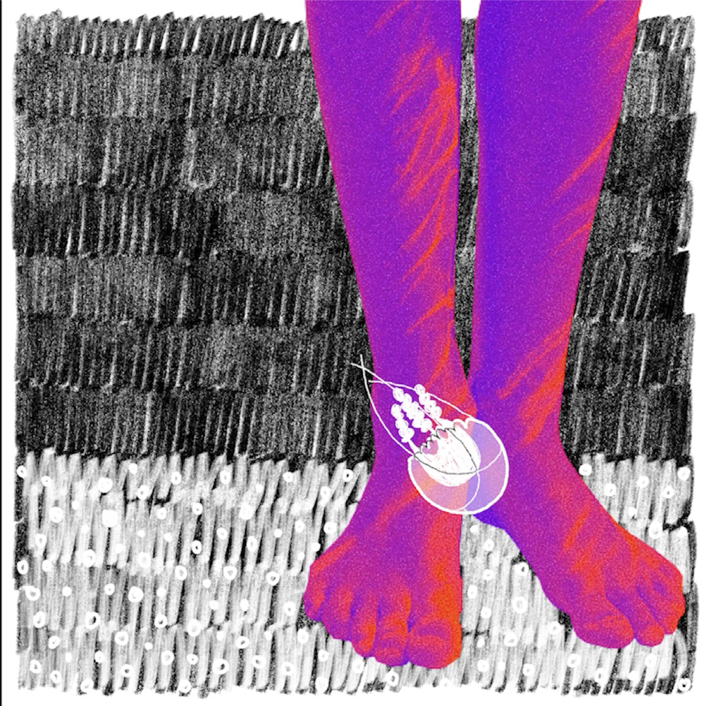 Video still from speculative film Planet of the Jellyfish. Black, white, pink, and purple hand-drawn images of jellyfish and humans.