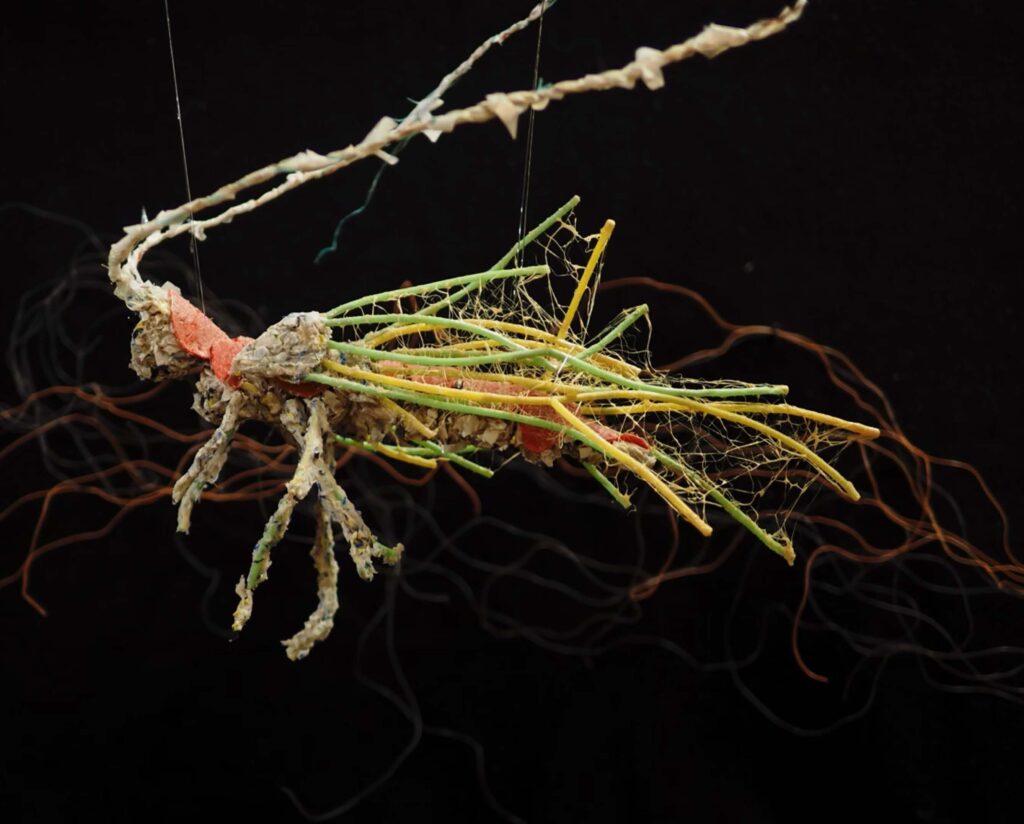 Still from video about speculative future species of fly that incorporates colorful plastic into its body.