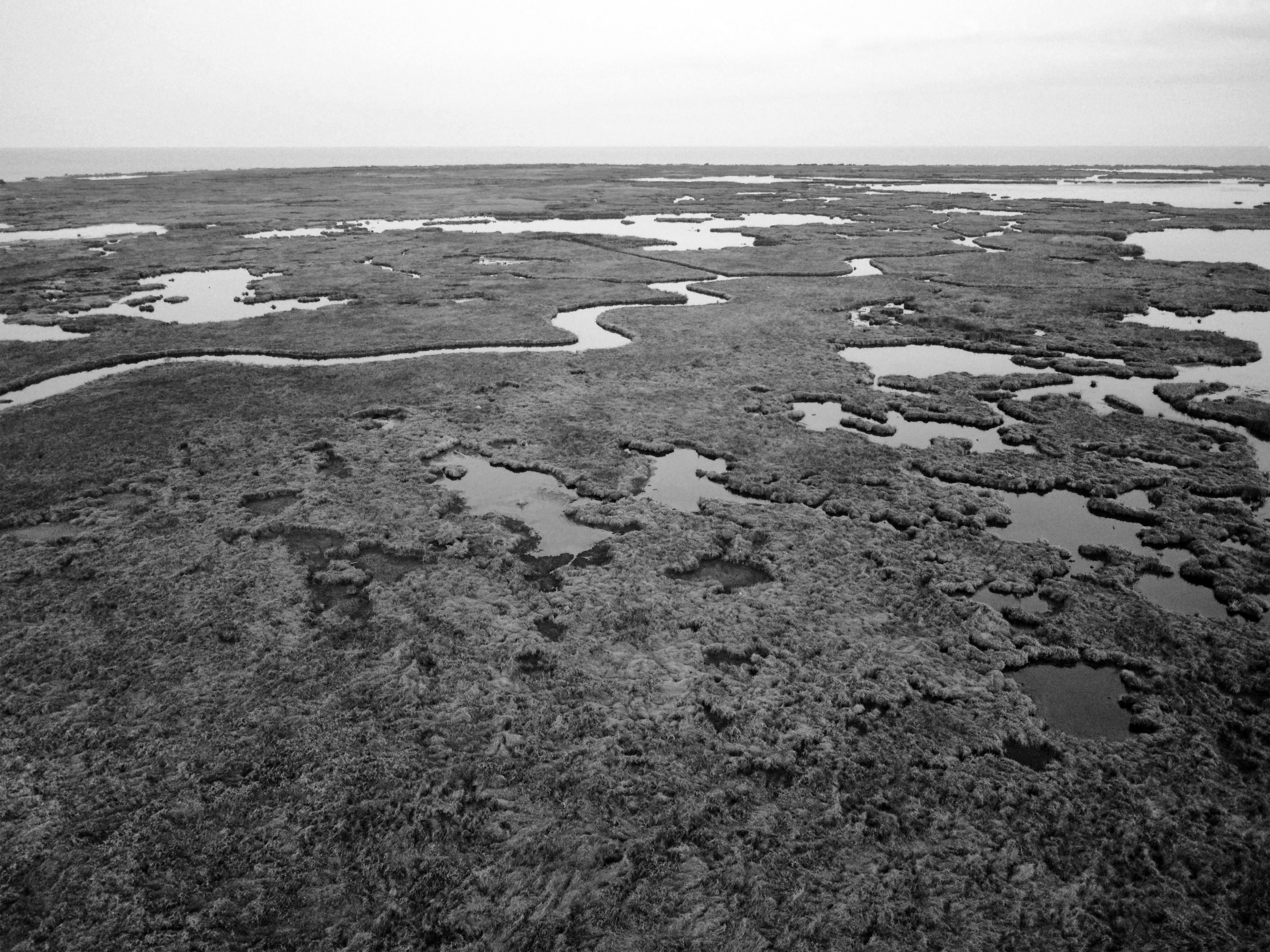 An aerial drone view of the expansive marshlands and intricate waterways of the coastal wetlands in Los Angeles.